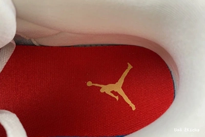 4843 DX6660- 3 Elegant Retro 380 Jordan 0714